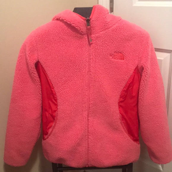 north face teddy bear coat